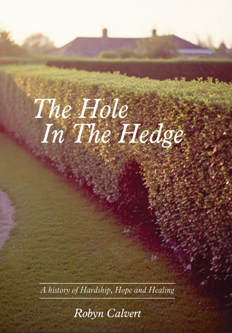 the-hole-in-the-hedge